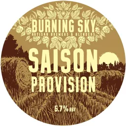 provision-2020-badge-1.jpg