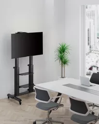 fiz5t3QVlk2wS323Y1y8RA.c-r.jpg?