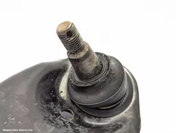 30252447-eae8-424d-8dd1-29ad6a76b4a0.jpeg?