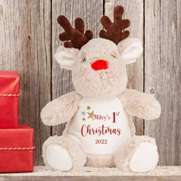 Reindeer1stXmas4.png