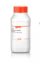 1689684163e1d1a4b08fbc04d80daedd6cdd5e8620.png?