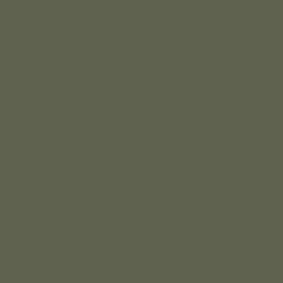 soft fern.jpg
