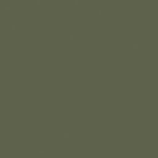 soft fern.jpg