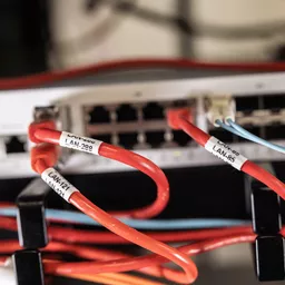 2qwXGr76IkCOuDH_4Nu3Cg.c-r.jpg?