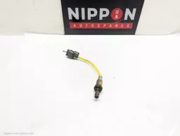 d83f3647-a4e6-4a74-a6a7-bed65ea7b32c.jpeg?