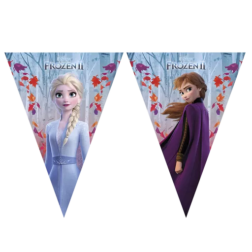 Frozen 2 Flag Banner