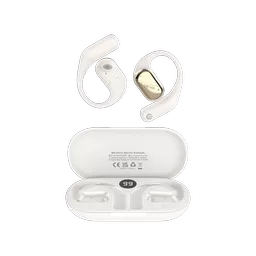 DEV-OWSLITE1-TWS-BGE1 (Copy).png