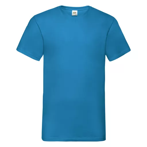 Men's Valueweight V-Neck T-Shirt