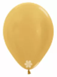 IT380241.webp
