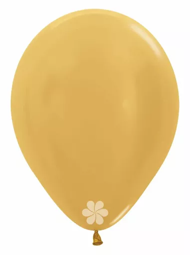 IT380241.webp
