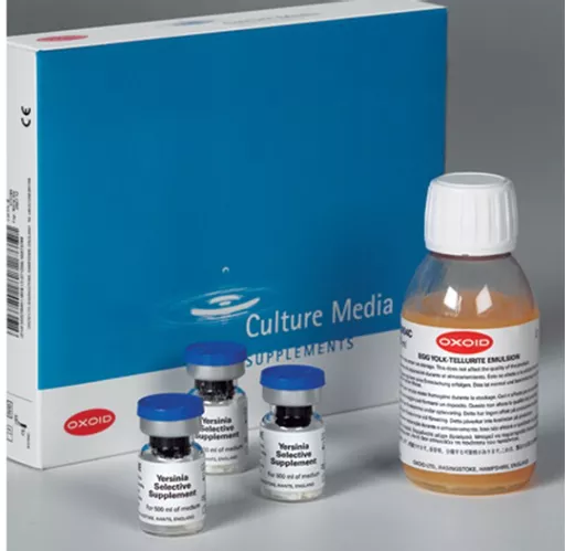 196f5cd735a02a22365bc85007fbb4f0.png?