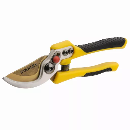 BDS6038.jpg?date=22052025