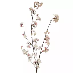 Screenshot 2026-01-28 at 10.34.24.jpg