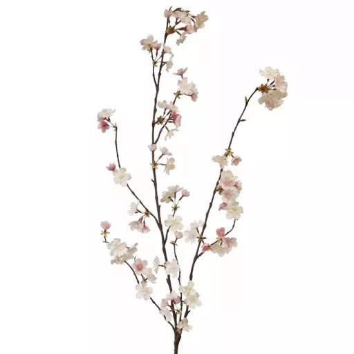 Screenshot 2026-01-28 at 10.34.24.jpg