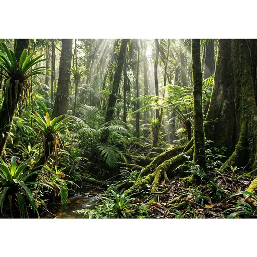 sMxWa6E9dE2Owns0Xnfgzw.c-r.jpg?