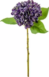 IT393810.jpg