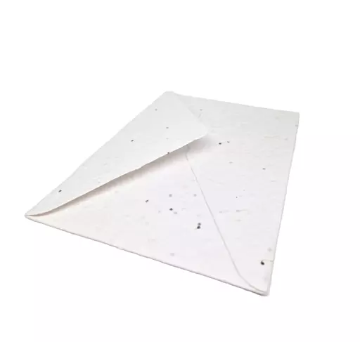 C6 Plantable Seeded White Envelopes
