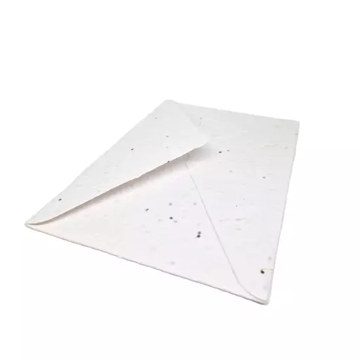 C5 Plantable Seeded White Envelopes