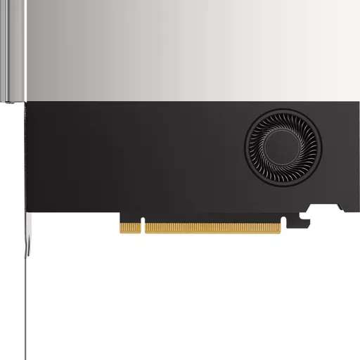 HP NVIDIA RTX A2000 12 GB 4mDP Graphics