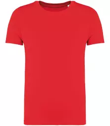 NS307%20POP%20FRONT.jpg?