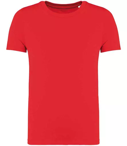 NS307%20POP%20FRONT.jpg?