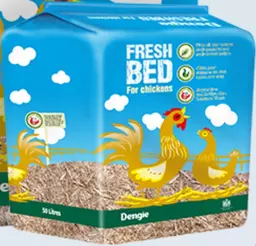 Dengie Fresh Bed.jpg