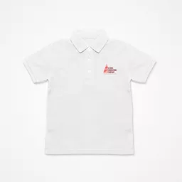 mockup-1753972749298.png?