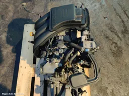 8c976d25-2ce4-4b77-b0b1-71aa46ad2713.jpeg?