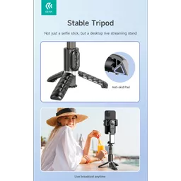 DEV-GIM-STRIPODLR-BLK13 (Copy).png