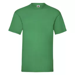 Men's Valueweight T-Shirt