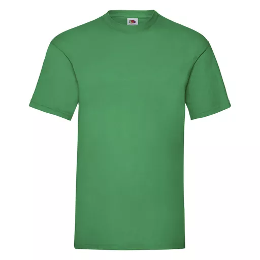 Men's Valueweight T-Shirt
