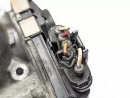 0c6b0723-71ee-4cf0-b7c1-1288255f24ba.jpeg?