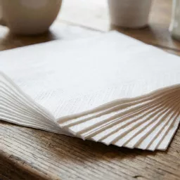 30cm 1-Ply Napkin White_0000s_0001_NAPKIN000005.jpg