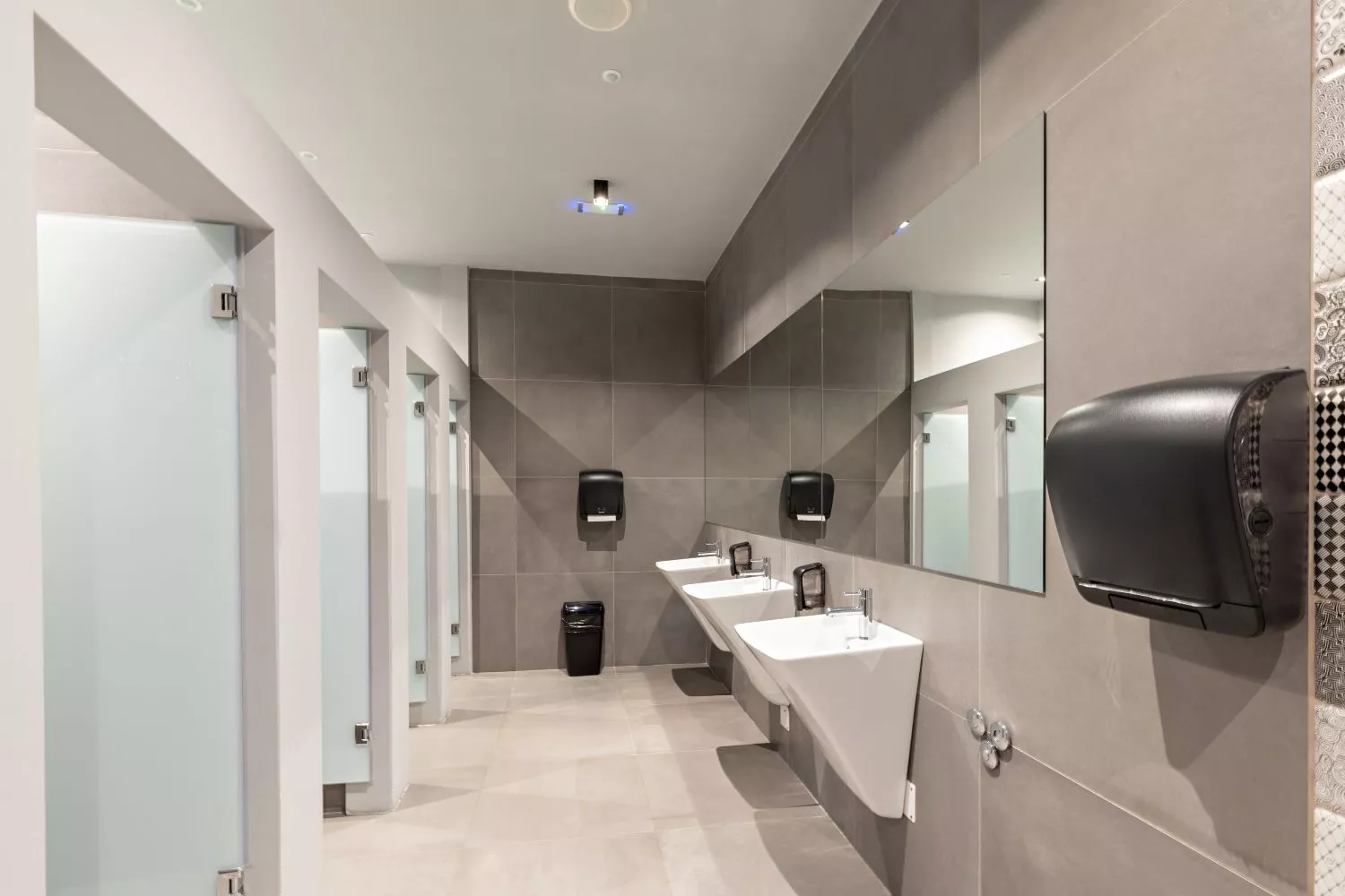 Trident Pro Washroom.jpg