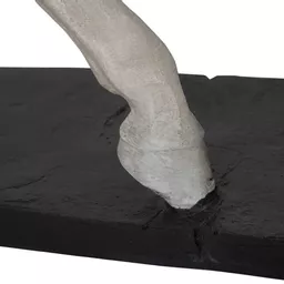 1765024075-41401700.jpg?