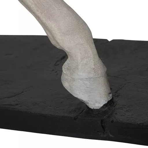 1765024075-41401700.jpg?