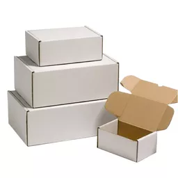 2901069 white kraft corrugated cardboard ecommerce box.jpg