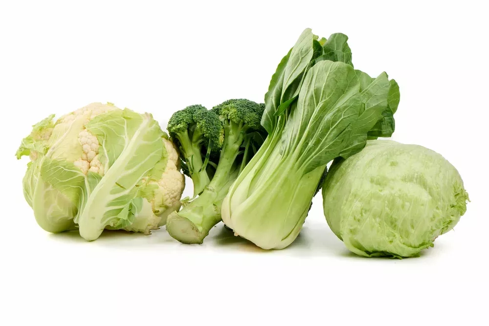 Banner-Packaging-Machine-for-Iceberg-Lettuce-Broccoli.webp