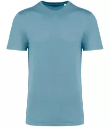 NS314IC%20ARB%20FRONT.jpg?