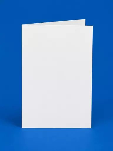 ChatGPT Image Jun 22, 2026, 12_57_59 PM.png