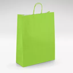 White-kraft-lime-twist-bag-Medium.jpg