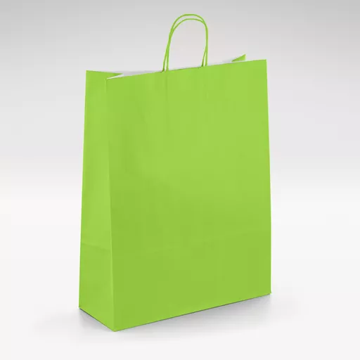 White-kraft-lime-twist-bag-Medium.jpg