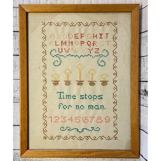 Vintage Framed Embroidery Sampler