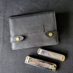 5-Pack chromatic harmonica case black124258.jpg