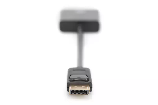 j6etWQM_4kuOPtkUo5Q4pg.c-r.jpg?