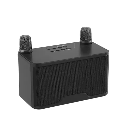 Karaoke Bluetooth Speaker