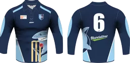 Cricket Shirt M2.png