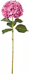 IT393780.jpg