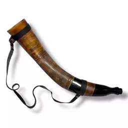 Engraved Blowing Horn 5.jpg
