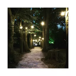 1648654203-33415700.jpg?